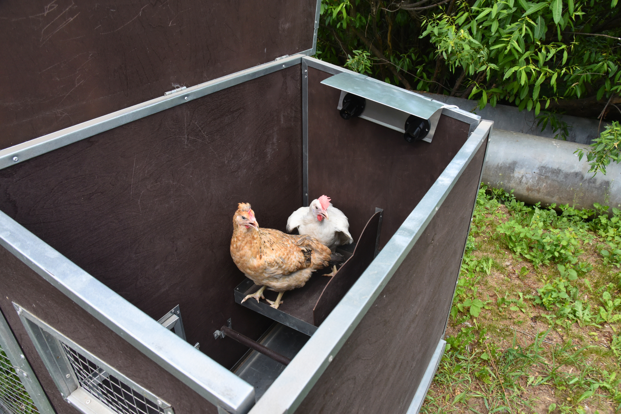 Утеплённый домик с выгулом "Лужайка-1". Фото 17