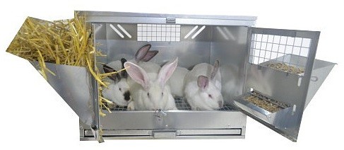 Клетка для откорма кроликов "ПРОФЕССИОНАЛ"-55-КО-4. Фото 3