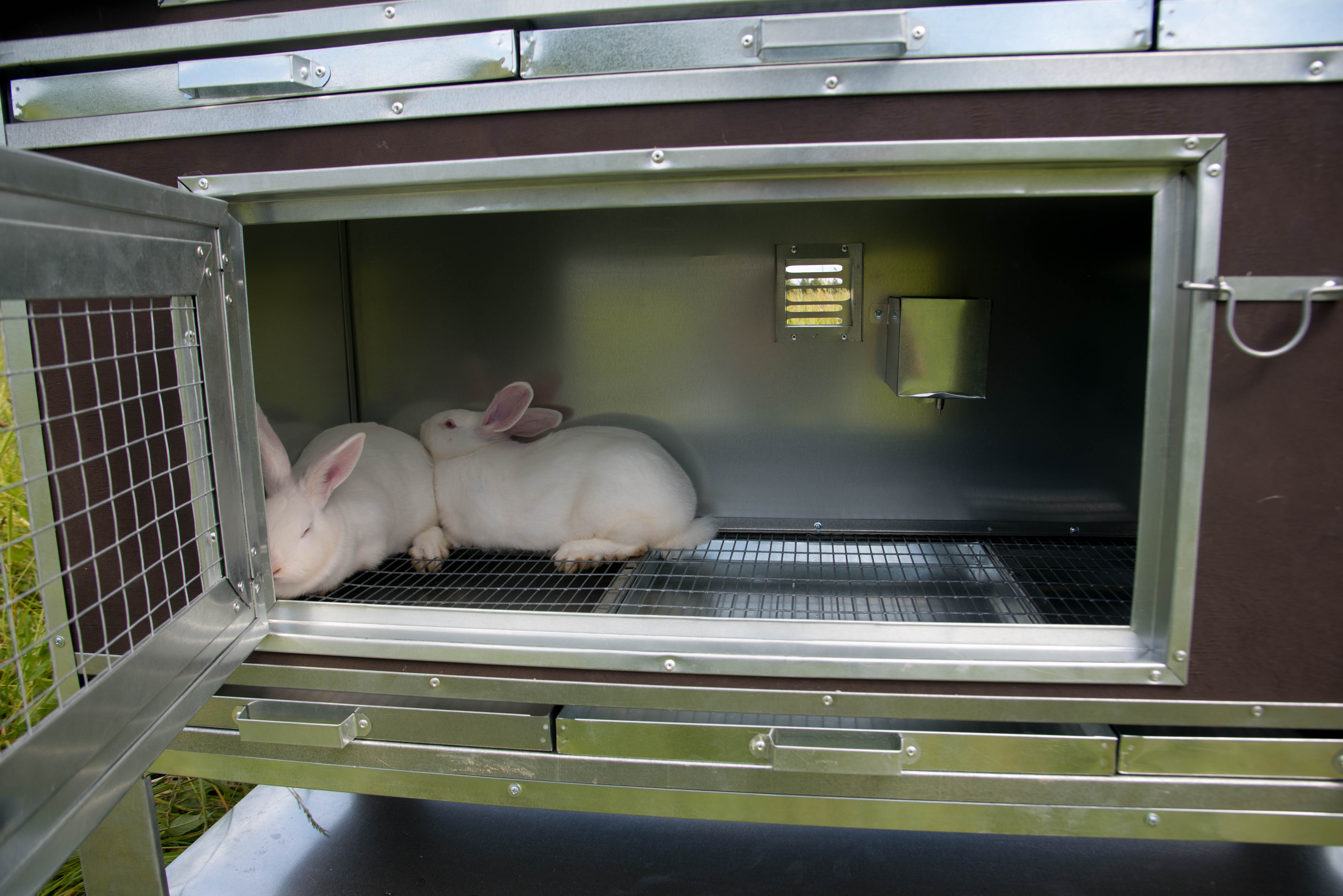 Утепленный отапливаемый крольчатник "Бестселлер" О-12. Фото 17