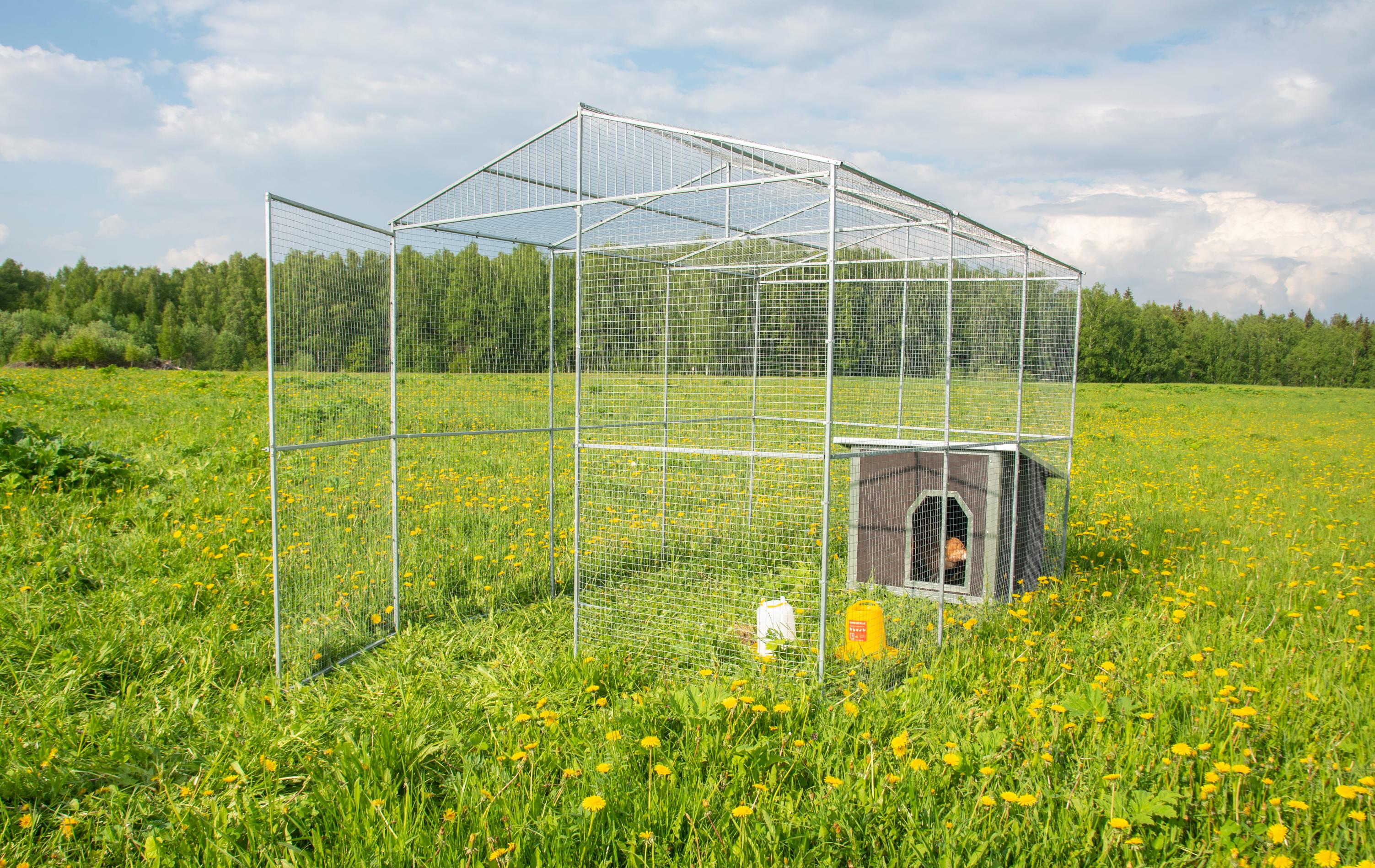 Выгул "Разгуляй" из сетки 2-3-С. Фото 8
