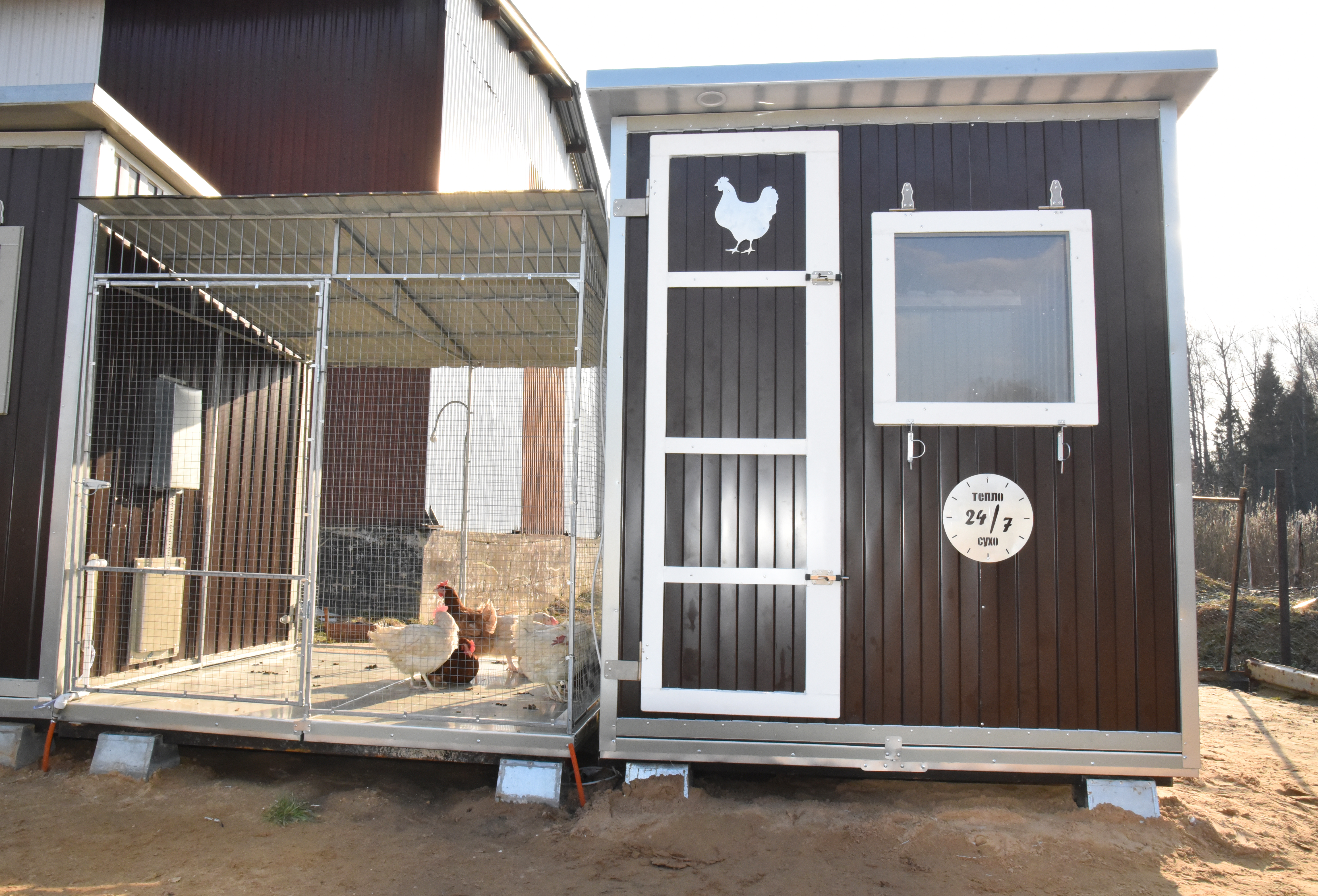 Утепленный курятник с обогревом на 45 голов "Теплоисухо" КН. Фото 1