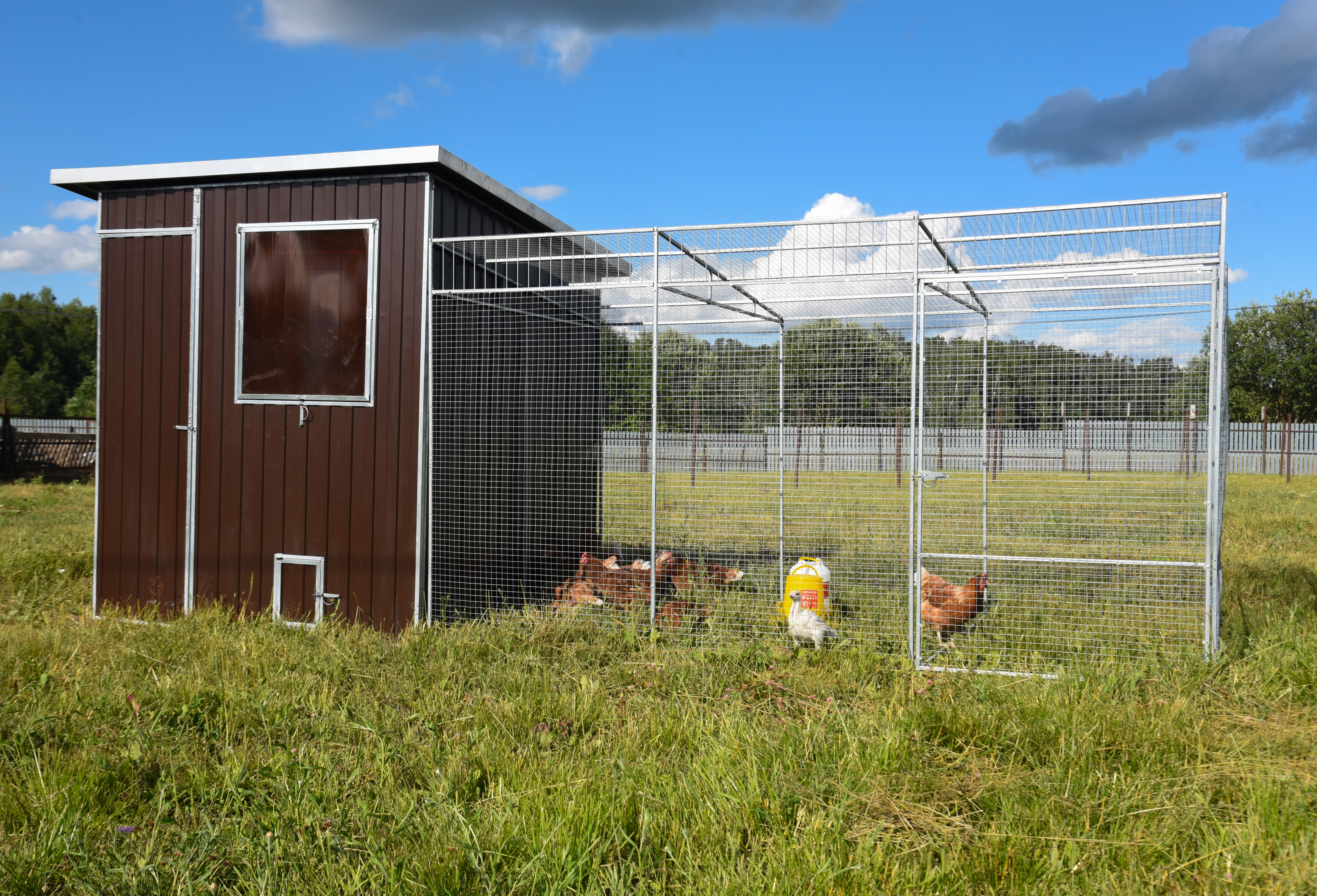 Выгул "Разгуляй" приставной из сетки 1-1-СП. Фото 1