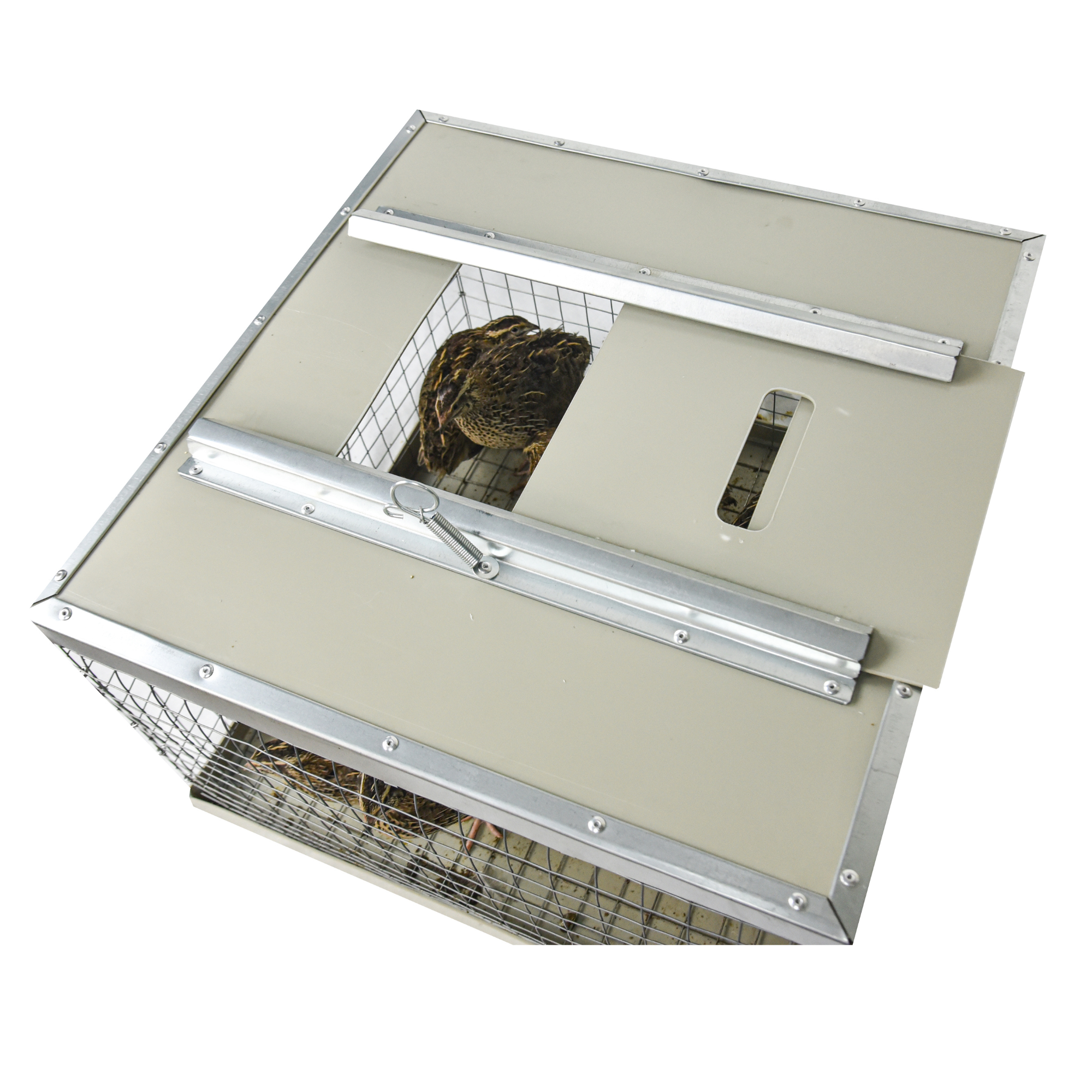 Клетка-переноска для птицы с 1 дверцей. Фото 9