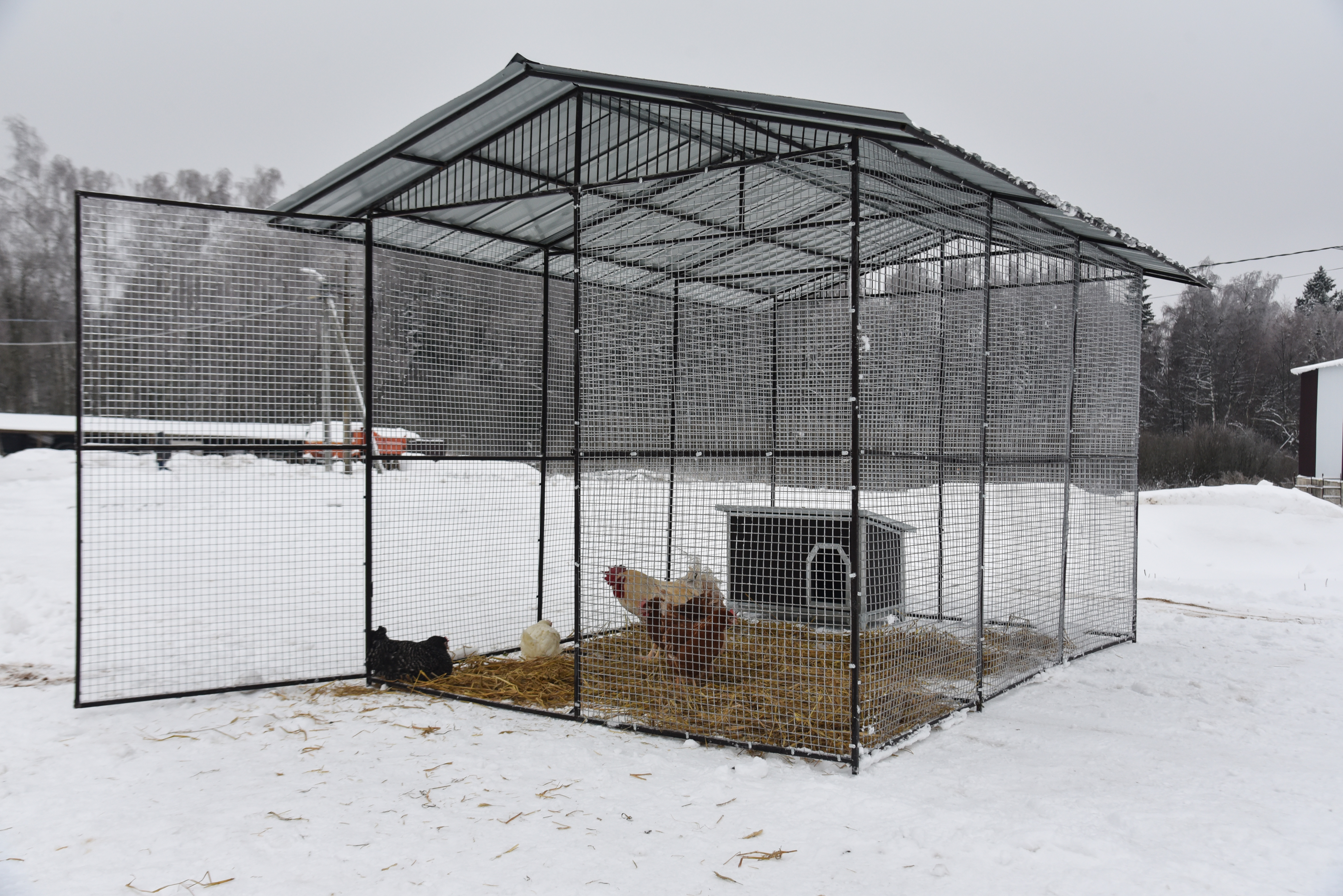 Выгул "Разгуляй" с крышей 2-2-К. Фото 11