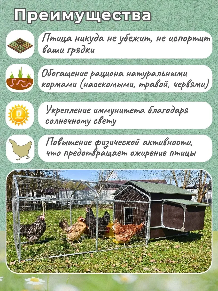 Выгул для курятника "Фаворит" на 8-10 кур. Фото 5