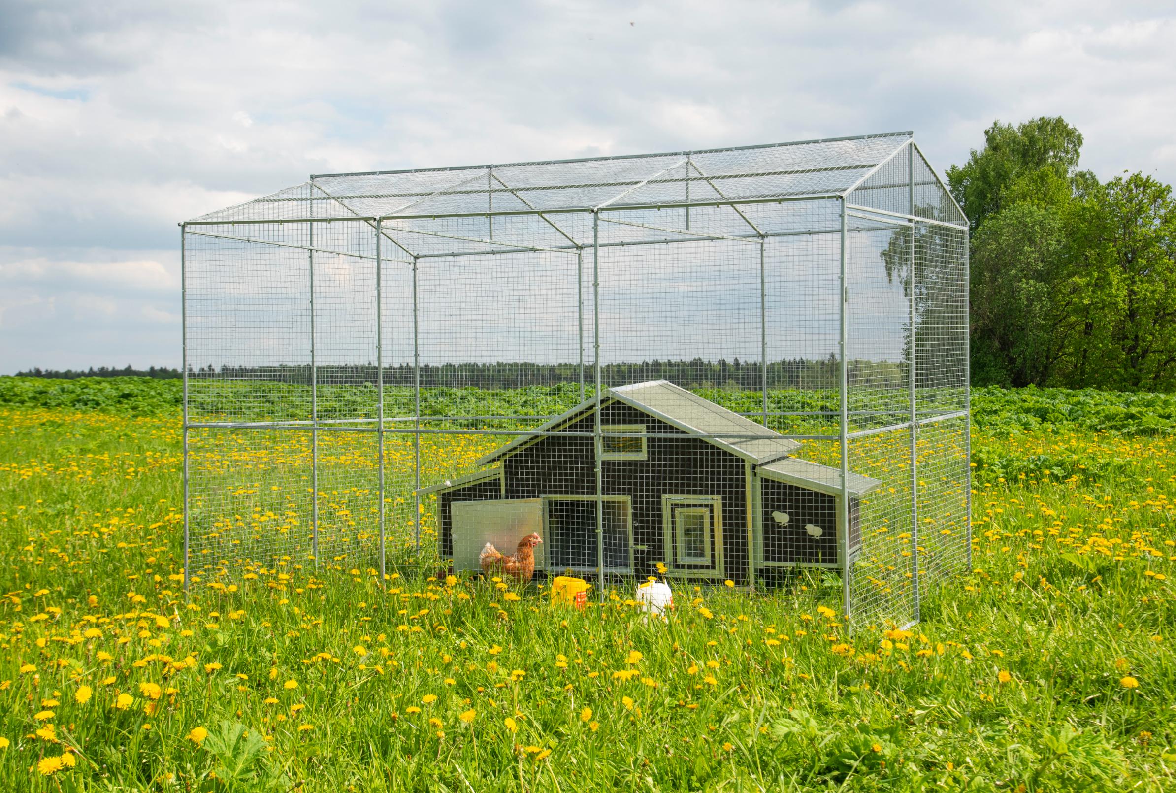 Выгул "Разгуляй" из сетки 2-7-С . Фото 11