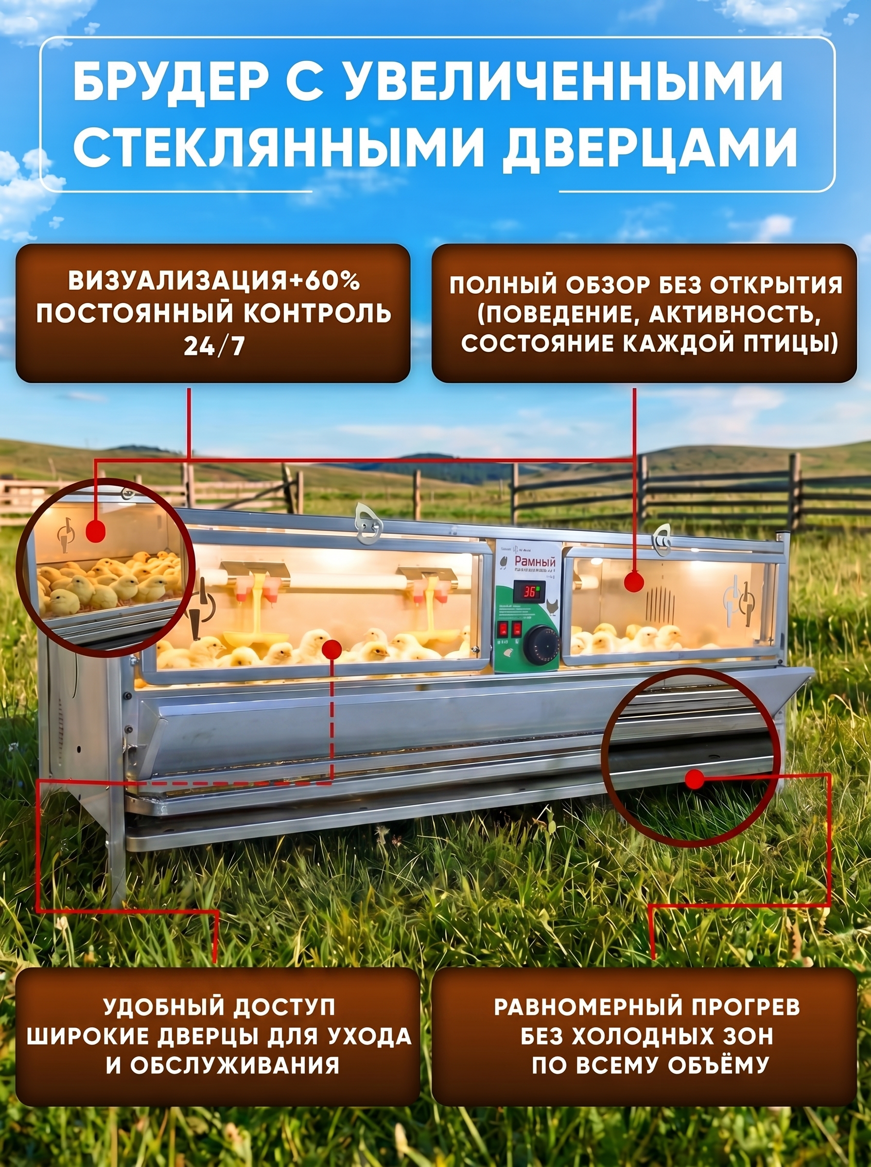 Рамный автоматический брудер 0706 Стандарт. Фото 9 Рамный автоматический брудер 0706 Стандарт. Фото 9