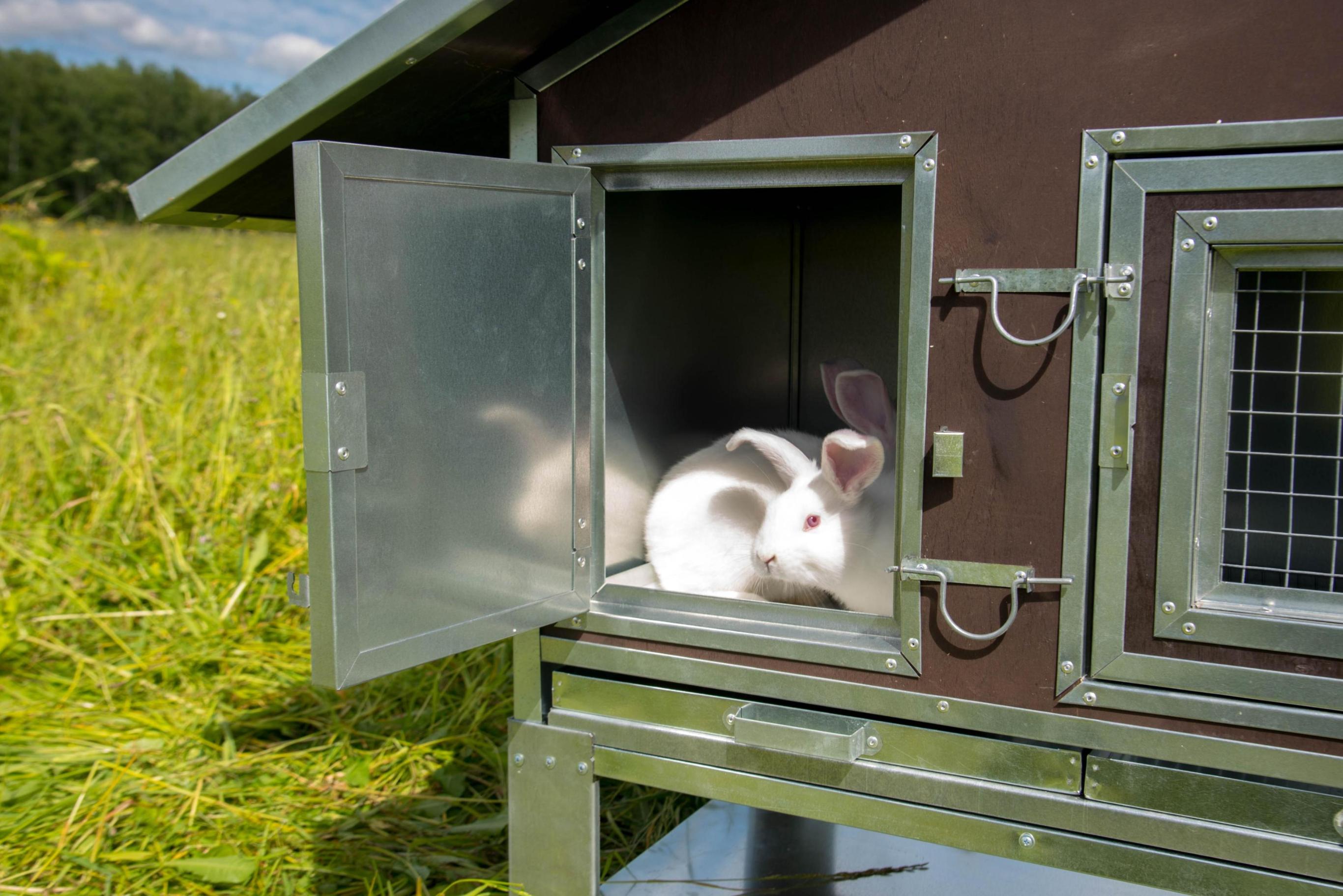 Утепленный отапливаемый крольчатник "Бестселлер" М-21. Фото 7