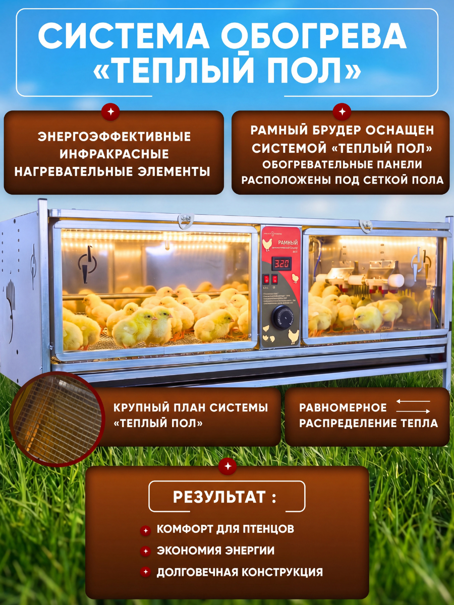 Рамный автоматический брудер 0714 Премиум. Фото 4 Рамный автоматический брудер 0714 Премиум. Фото 4