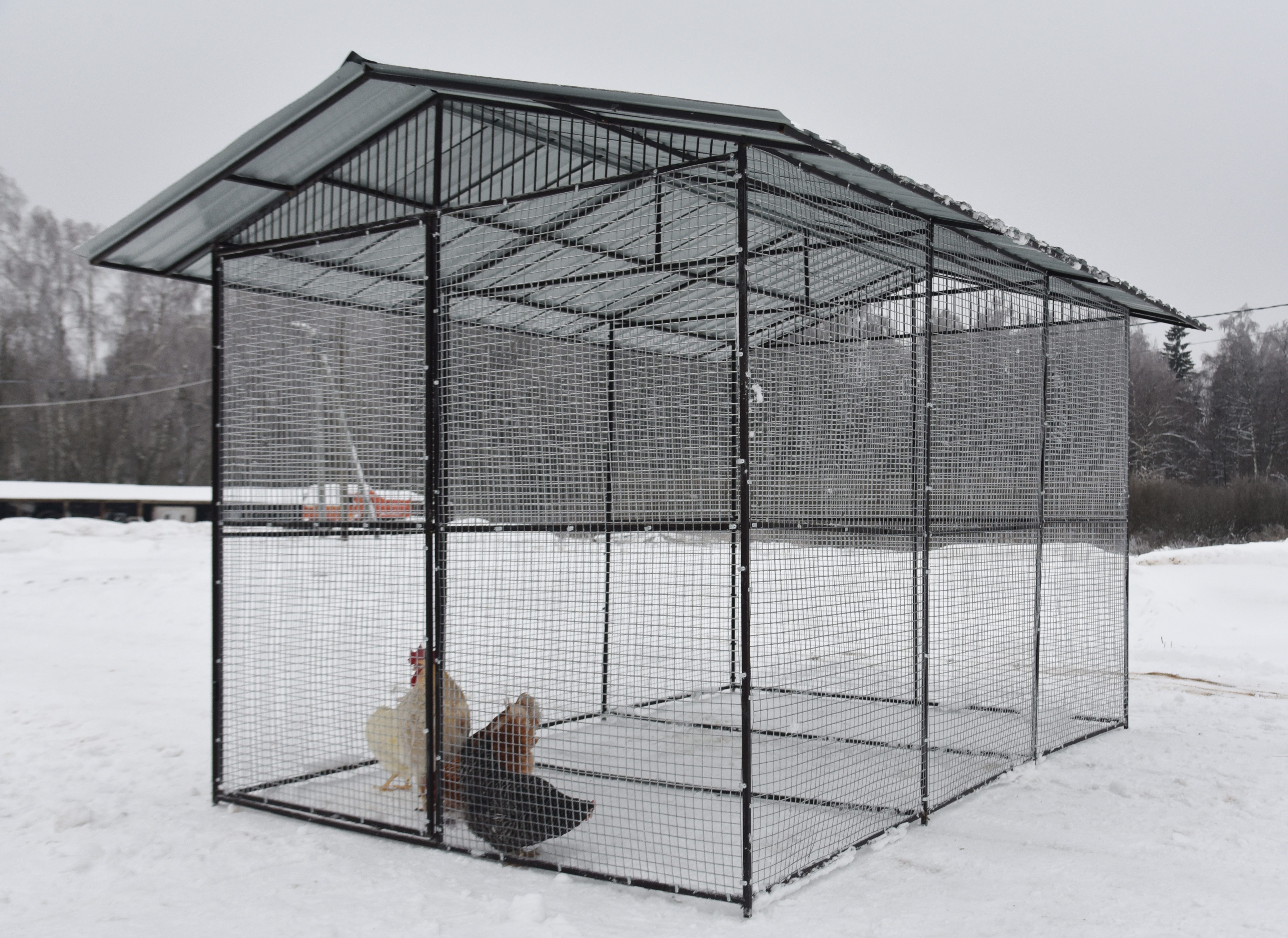 Выгул "Разгуляй" с крышей 2-2-К. Фото 9