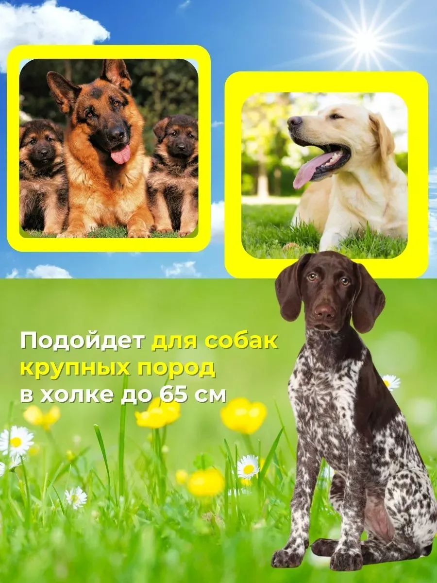 Будка для собак утепленная Л. Фото 2