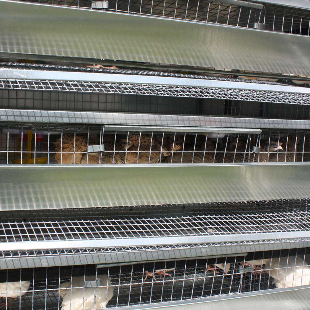 Утепленный отапливаемый уличный птичник "4 сезона" . Фото 12