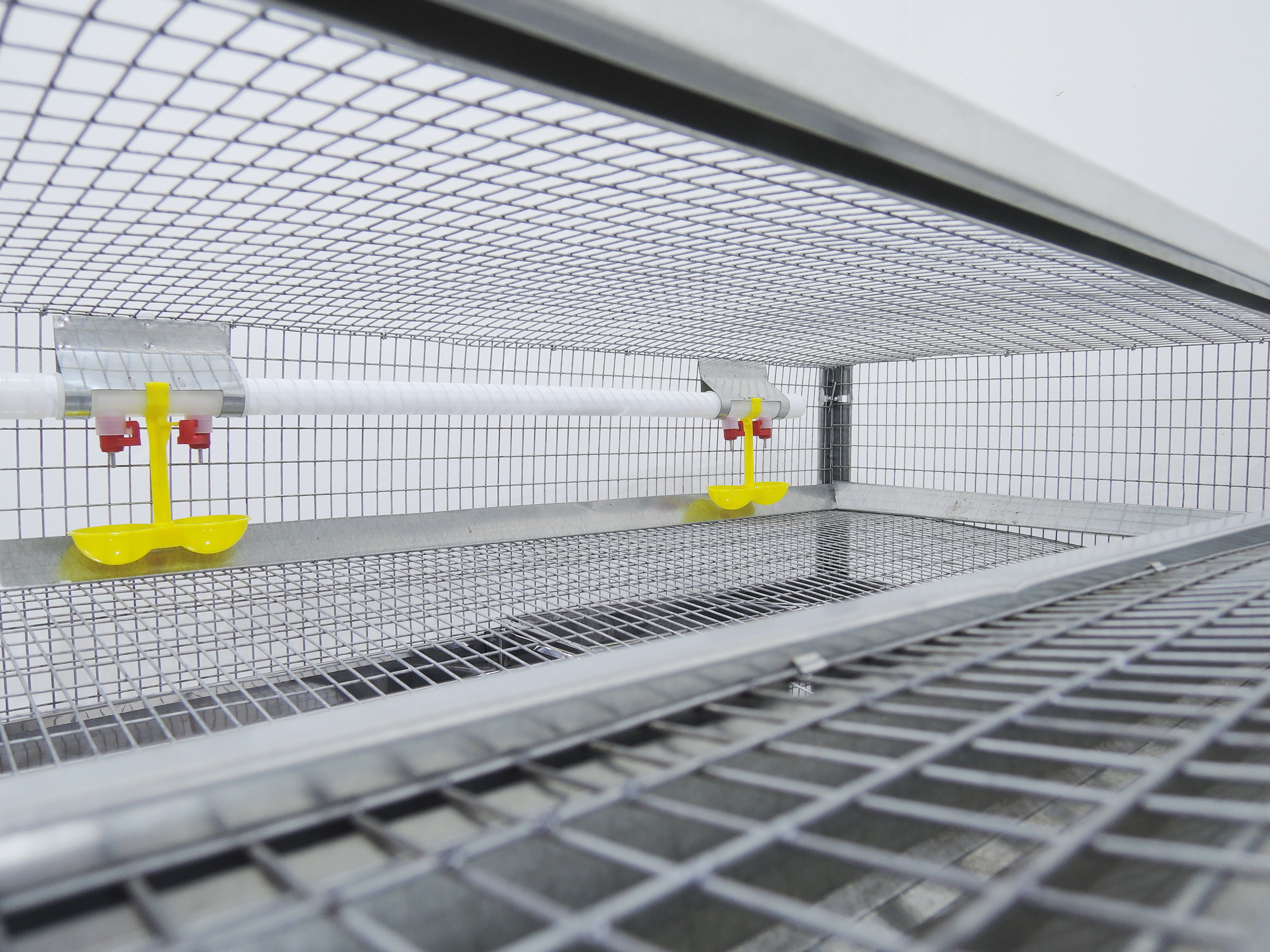 Клетка для перепелов "Гранд" на 100 голов. Фото 4