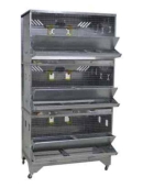 Клетки для кур