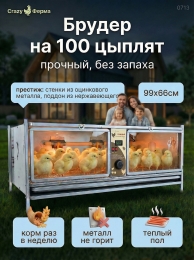 Брудеры для индюшат