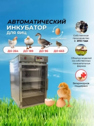 Инкубаторы