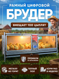 Утки Утки