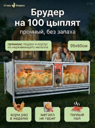 Брудеры для индюшат