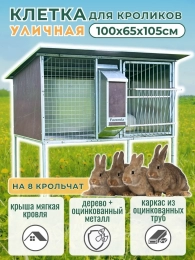 Уличные крольчатники