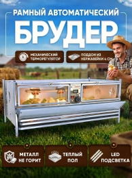 Утки Утки
