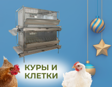 Куры и клетки
