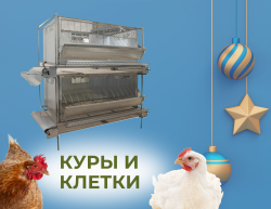 Куры и клетки
