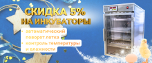 БОЛЬШАЯ РАСПРОДАЖА! Скидки - 5% на инкубаторы для яиц! БОЛЬШАЯ РАСПРОДАЖА! Скидки - 5% на инкубаторы для яиц!