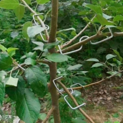 Все для дачи