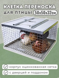 Фазаны