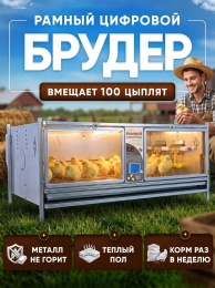 Утки Утки