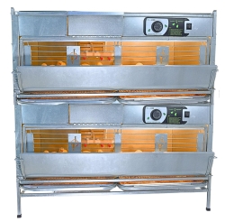 Брудеры для индюшат