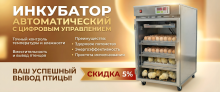 БОЛЬШАЯ РАСПРОДАЖА!  Скидки - 5% на инкубаторы для яиц!