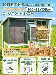 Уличные крольчатники