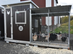 Курятник для кур-несушек четырехъярусный с полками "Неделя без забот" на 100 голов с выгулом