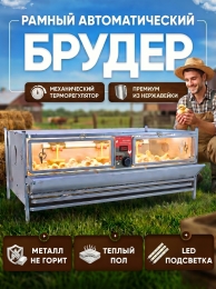 Утки Утки