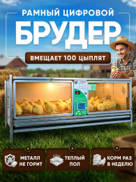 Утки Утки