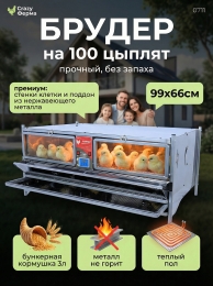 Брудеры для индюшат